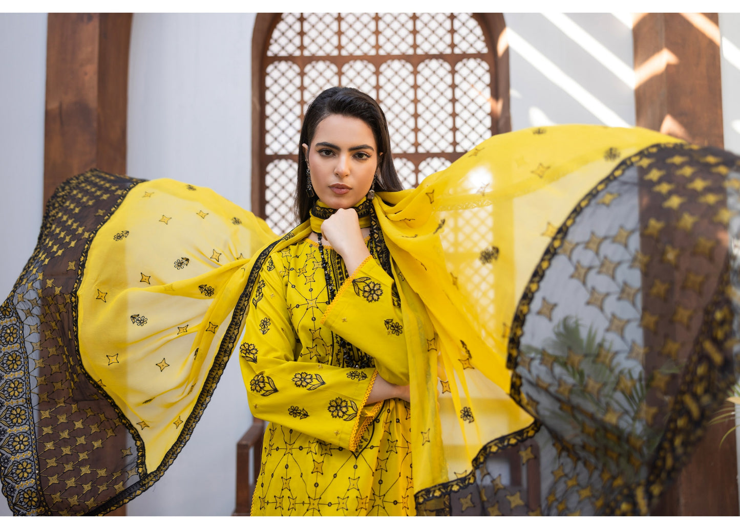 Embroidered Lawn Daman Aplic Work
